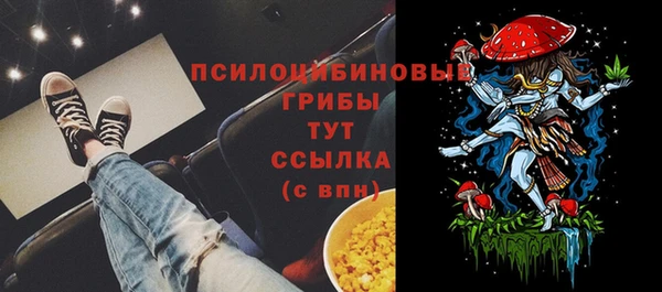 гашиш Арсеньев