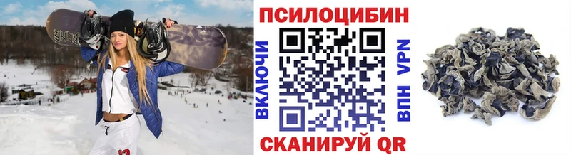 наркота  гидра ссылки  Галлюциногенные грибы Psilocybe  Белёв 